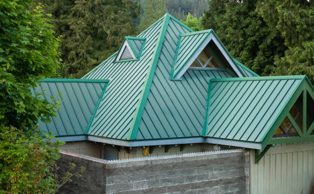 Best Asphalt Shingle Roofing  in Tton, IL